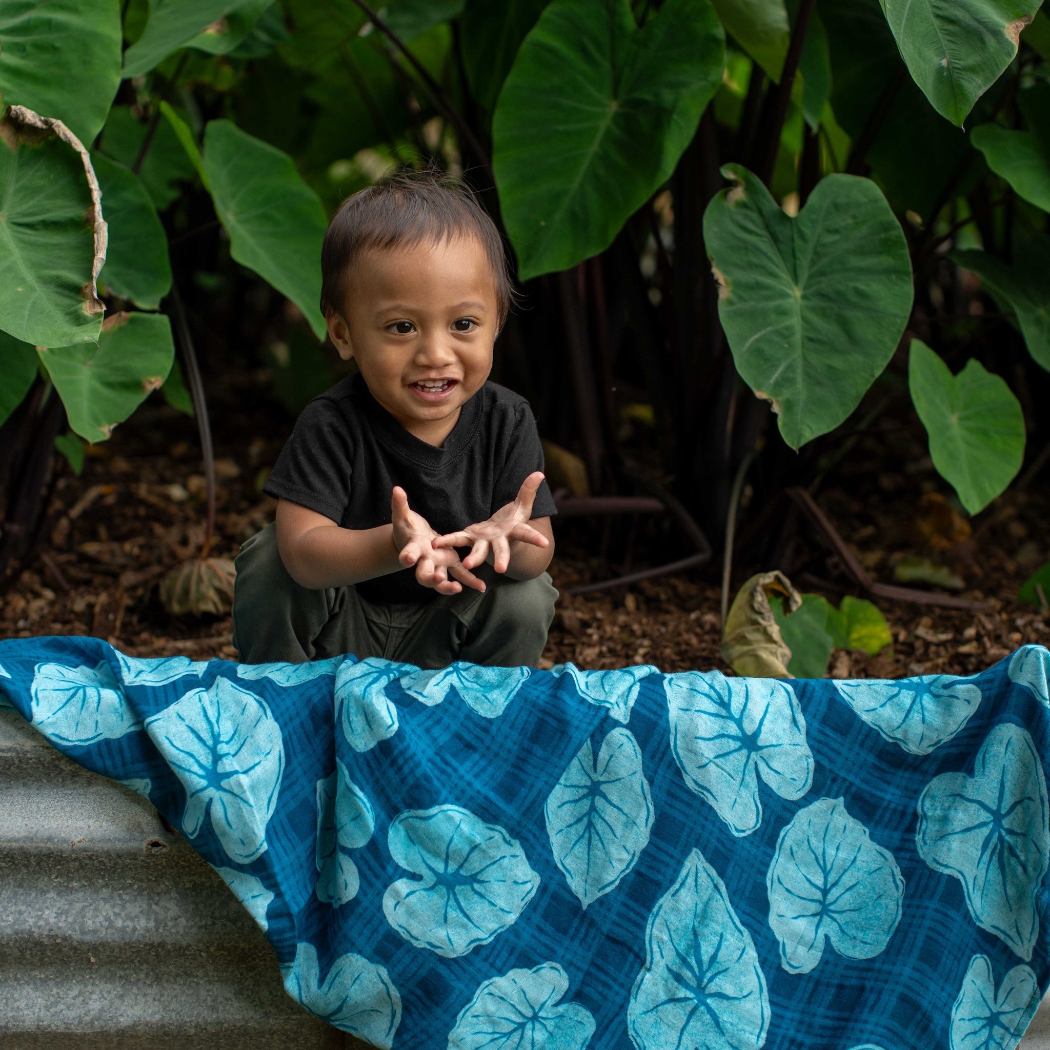 Blue Palaka Kalo Kapa Moe - Hawaiian Bamboo Swaddle