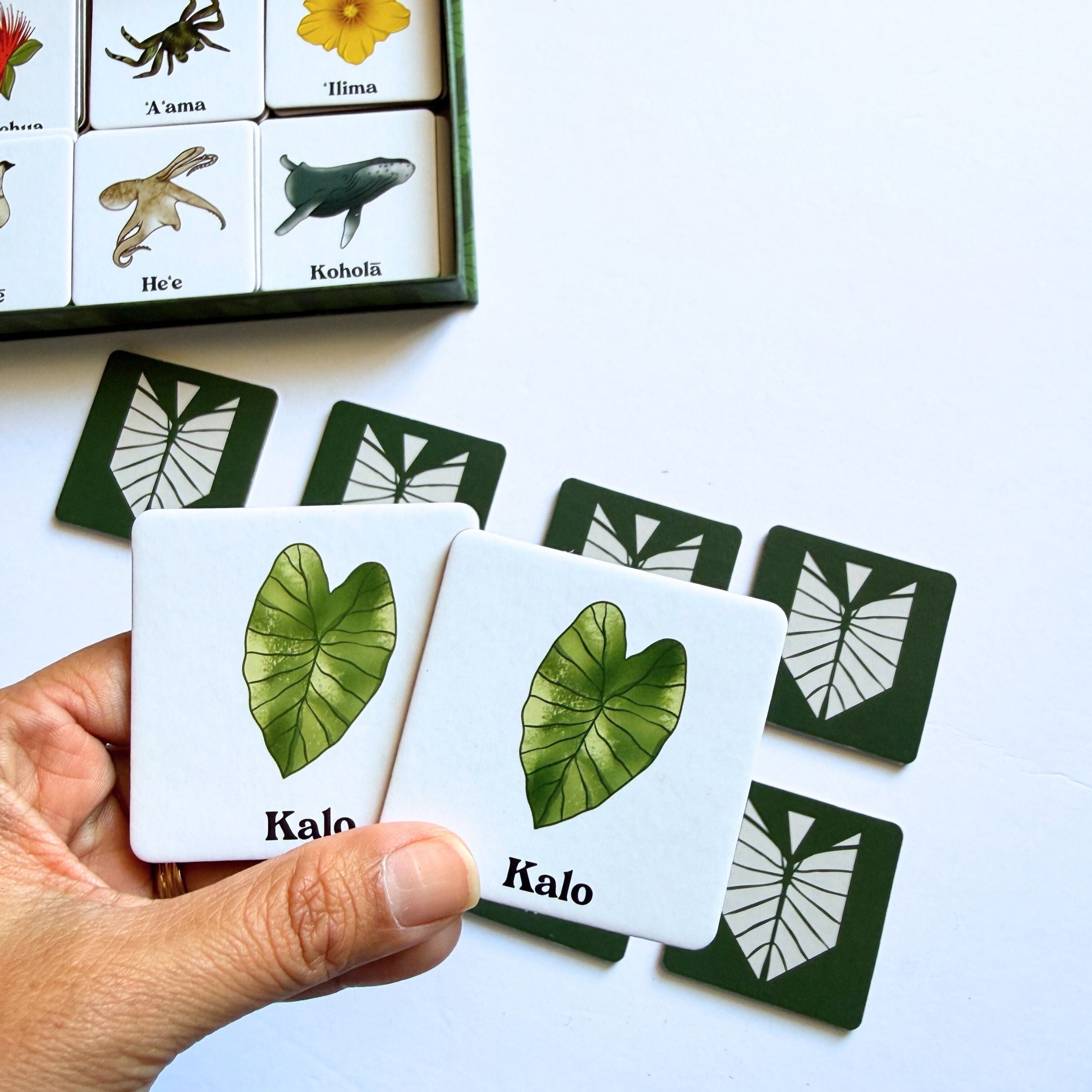 The Memory Game: Aloha ʻĀina