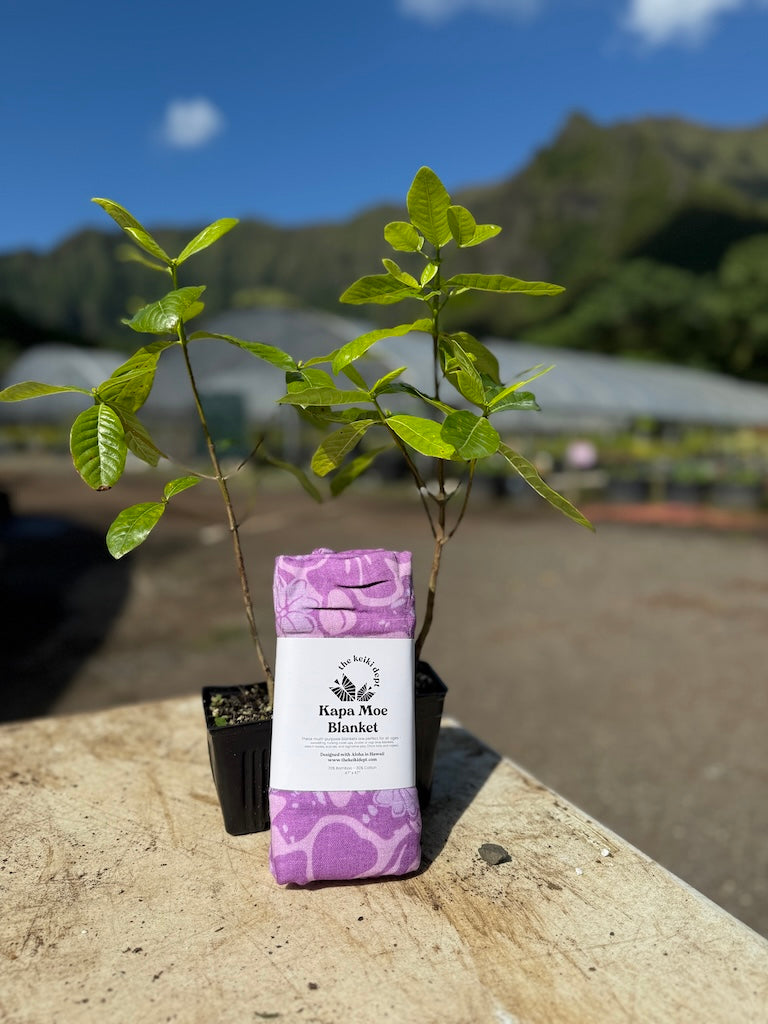 Nāʻū Bamboo Muslin Kapa Moe (Swaddle Blanket)