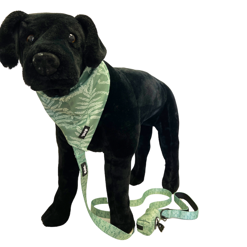 Eha Pets: Green Neke Fern Dog Bandana