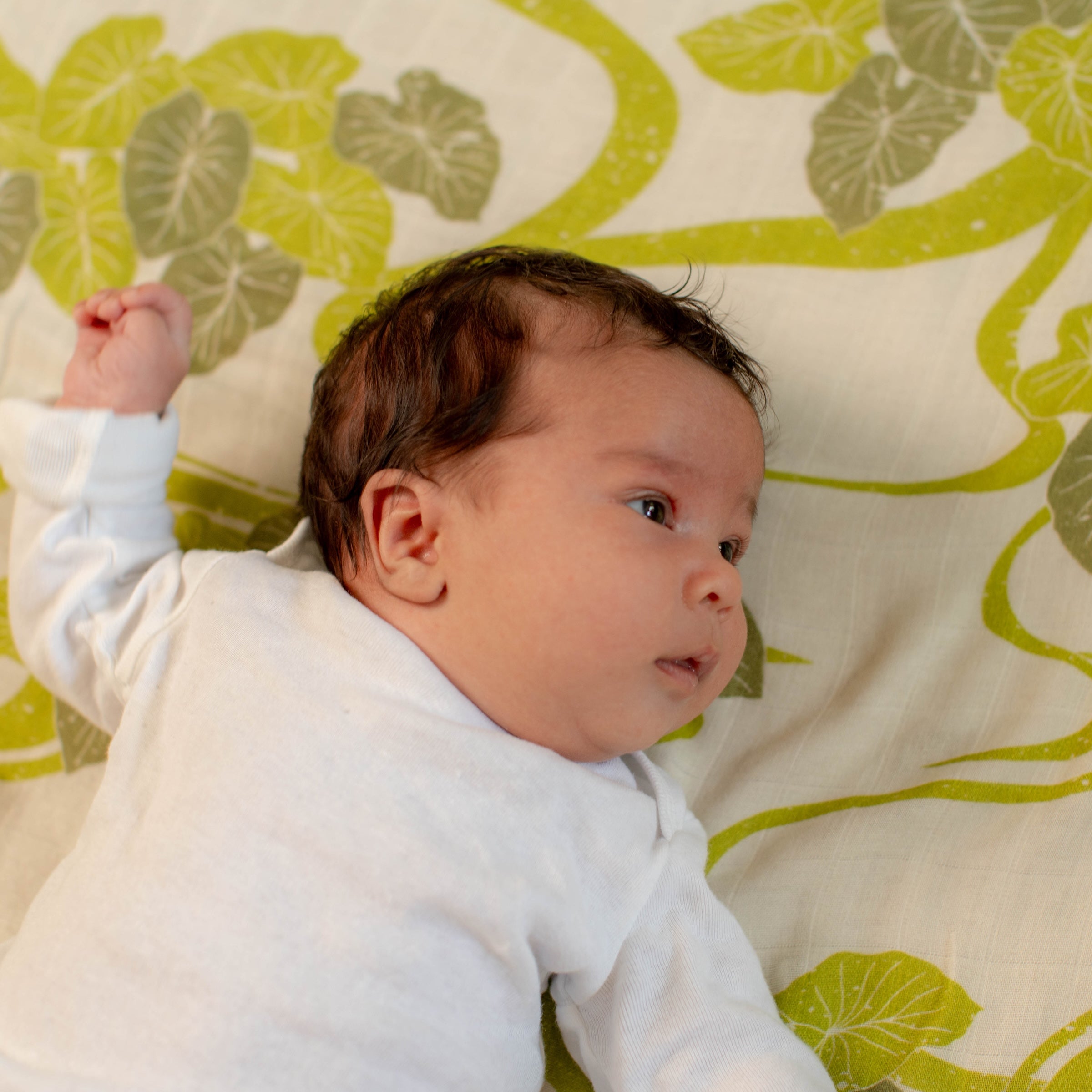 Hawaiian Loʻi Ao Kapa Moe - Hawaiian Bamboo Swaddle Blanket